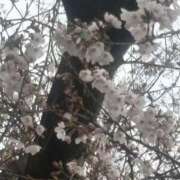 ヒメ日記 2026/03/27 13:35 投稿 美音（みおん） 熟女の風俗最終章 大宮店