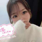 ヒメ日記 2026/02/11 17:20 投稿 りりか『Dカップ』 ぽよぽよランド