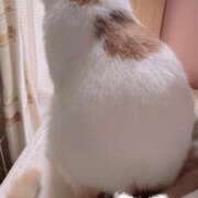 ヒメ日記 2025/12/01 13:17 投稿 けいこ モアグループ神栖人妻花壇