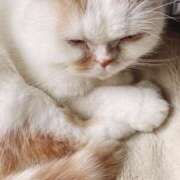 ヒメ日記 2025/12/23 19:21 投稿 けいこ モアグループ神栖人妻花壇