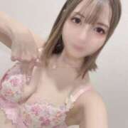 ヒメ日記 2025/09/26 13:28 投稿 めい 綺麗なお姉様専門　新横浜リング4C（アンジェリークグループ）