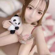 ヒメ日記 2025/10/23 12:11 投稿 めい 綺麗なお姉様専門　新横浜リング4C（アンジェリークグループ）