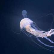 ヒメ日記 2025/10/06 22:59 投稿 みすず ハイブリッドヘルス小岩中央