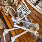 みすず えっちな、みすずと… ハイブリッドヘルス小岩中央