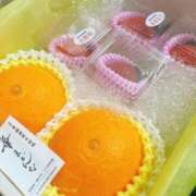 ヒメ日記 2026/02/01 12:59 投稿 みすず ハイブリッドヘルス小岩中央