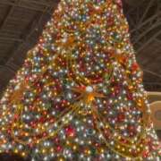 ヒメ日記 2025/12/24 17:39 投稿 りおね【スレンダー黒髪美人】 STELLA TOKYO－ステラトウキョウ－