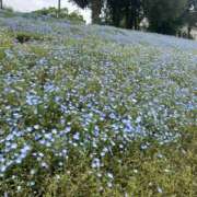 ヒメ日記 2025/12/26 14:54 投稿 Remi(れみ） AMATERAS(アマテラス)(福山)