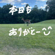 ヒメ日記 2026/01/08 15:24 投稿 Remi(れみ） AMATERAS(アマテラス)(福山)