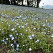 Remi(れみ） ※無題 AMATERAS(アマテラス)(福山)