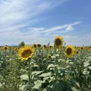 Remi(れみ） 10-16 AMATERAS(アマテラス)(福山)