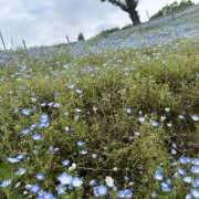 ヒメ日記 2026/06/03 00:34 投稿 Remi(れみ） AMATERAS(アマテラス)(福山)