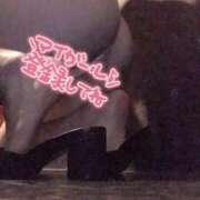 ヒメ日記 2025/04/09 15:09 投稿 あい サンクチュアリ(上野)