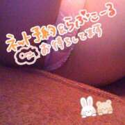 ヒメ日記 2025/05/06 08:42 投稿 あい サンクチュアリ(上野)