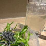 ヒメ日記 2026/01/23 20:35 投稿 あい サンクチュアリ(上野)