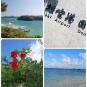 ヒメ日記 2025/10/09 14:40 投稿 楠 せり 大奥 難波店