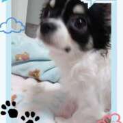 ヒメ日記 2025/10/24 13:45 投稿 楠 せり 大奥 難波店