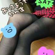 楠 せり 到着 大奥 難波店