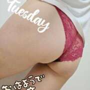 ヒメ日記 2026/05/19 15:31 投稿 楠 せり 大奥 難波店
