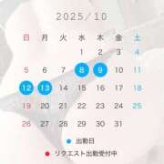 ヒメ日記 2025/10/01 12:37 投稿 椿　レナ【上品なエロテロリスト】 Salon de Flawless（サロンドフローレス）