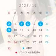 ヒメ日記 2025/11/01 16:26 投稿 椿　レナ【上品なエロテロリスト】 Salon de Flawless（サロンドフローレス）