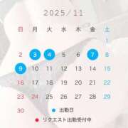 ヒメ日記 2025/11/02 16:59 投稿 椿　レナ【上品なエロテロリスト】 Salon de Flawless（サロンドフローレス）