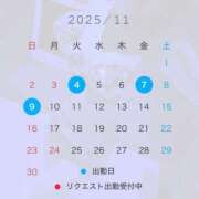 ヒメ日記 2025/11/03 15:16 投稿 椿　レナ【上品なエロテロリスト】 Salon de Flawless（サロンドフローレス）