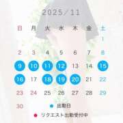 ヒメ日記 2025/11/07 18:25 投稿 椿　レナ【上品なエロテロリスト】 Salon de Flawless（サロンドフローレス）