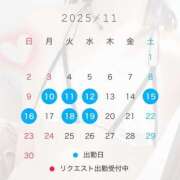 ヒメ日記 2025/11/09 21:30 投稿 椿　レナ【上品なエロテロリスト】 Salon de Flawless（サロンドフローレス）