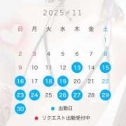 ヒメ日記 2025/11/11 18:30 投稿 椿　レナ【上品なエロテロリスト】 Salon de Flawless（サロンドフローレス）