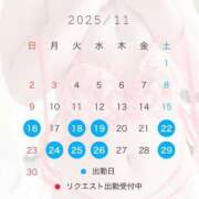 ヒメ日記 2025/11/15 15:55 投稿 椿　レナ【上品なエロテロリスト】 Salon de Flawless（サロンドフローレス）