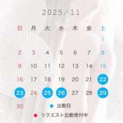 ヒメ日記 2025/11/19 19:01 投稿 椿　レナ【上品なエロテロリスト】 Salon de Flawless（サロンドフローレス）