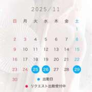 ヒメ日記 2025/11/23 21:01 投稿 椿　レナ【上品なエロテロリスト】 Salon de Flawless（サロンドフローレス）