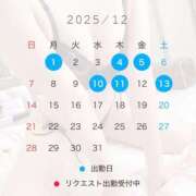 ヒメ日記 2025/11/25 15:04 投稿 椿　レナ【上品なエロテロリスト】 Salon de Flawless（サロンドフローレス）