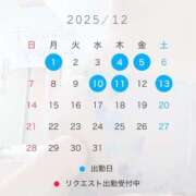 ヒメ日記 2025/11/26 17:49 投稿 椿　レナ【上品なエロテロリスト】 Salon de Flawless（サロンドフローレス）