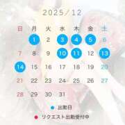 ヒメ日記 2025/12/01 16:30 投稿 椿　レナ【上品なエロテロリスト】 Salon de Flawless（サロンドフローレス）