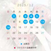 ヒメ日記 2025/12/03 22:01 投稿 椿　レナ【上品なエロテロリスト】 Salon de Flawless（サロンドフローレス）