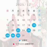 ヒメ日記 2025/12/17 21:30 投稿 椿　レナ【上品なエロテロリスト】 Salon de Flawless（サロンドフローレス）