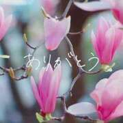 ヒメ日記 2025/11/30 17:33 投稿 体験はなび　COLOR ACCENT[アクセントグループ]