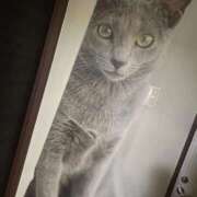 ヒメ日記 2025/12/27 03:43 投稿 体験はなび　COLOR ACCENT[アクセントグループ]