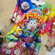 ヒメ日記 2026/02/19 12:33 投稿 体験はなび　COLOR ACCENT[アクセントグループ]