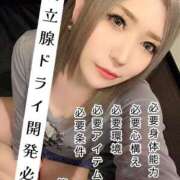 えりか ⚠️必読⚠️前立腺ドライ開発について ミラー