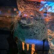 ヒメ日記 2025/11/13 10:45 投稿 みなみ☆ドキドキの体験入校 JKサークル