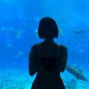 ヒメ日記 2025/10/14 07:12 投稿 れお ジャパンクラブ富士