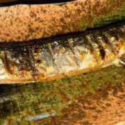 ヒメ日記 2025/10/06 20:53 投稿 かえで 京都祇園・南インターちゃんこ