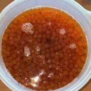 ヒメ日記 2025/10/23 12:30 投稿 かえで 京都祇園・南インターちゃんこ