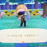 ヒメ日記 2025/11/06 11:38 投稿 かえで 京都祇園・南インターちゃんこ