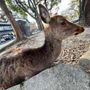 ヒメ日記 2025/12/19 14:31 投稿 かえで 京都祇園・南インターちゃんこ