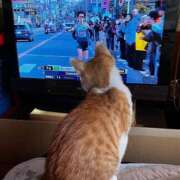 ヒメ日記 2026/01/02 14:12 投稿 かえで 京都祇園・南インターちゃんこ