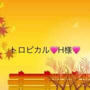 ヒメ日記 2025/09/26 17:06 投稿 あみ ぼくらのデリヘルランドin久喜店