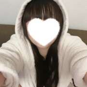 ヒメ日記 2025/10/29 12:02 投稿 ツバキ 飾窓